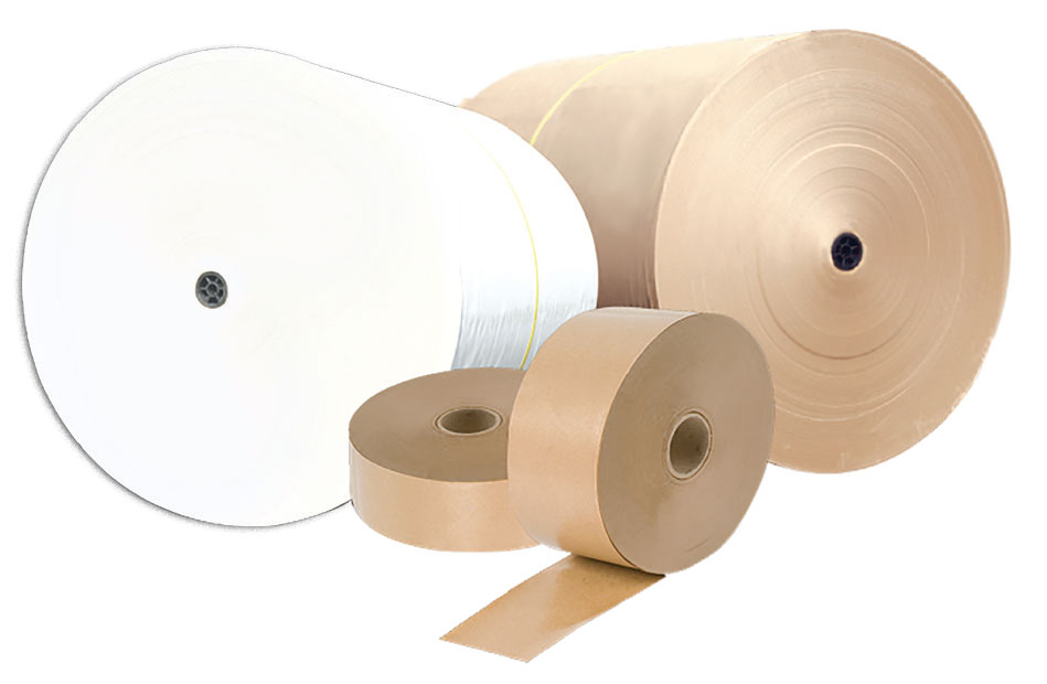 Bashundhara Paper Mills Ltd.